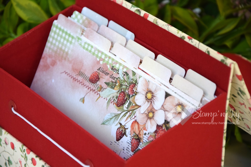 Rezeptbox DIN A5-Querformat ca. 23x10x17cm | Erdbeertraum | rot weiß | Art. Nr. 97040201